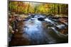 Black River Gorge Fall Scenic New Jersey-George Oze-Mounted Photographic Print