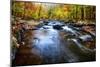 Black River Gorge Fall Scenic New Jersey-George Oze-Mounted Photographic Print