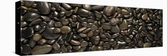 Black River Stones Landscape-Steve Gadomski-Stretched Canvas