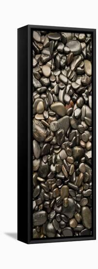 Black River Stones Portrait-Steve Gadomski-Framed Stretched Canvas