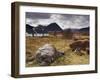 Black Rock Cottage and Buachaille Etive Mor, Glencoe, Highland Region, Scotland-Patrick Dieudonne-Framed Photographic Print