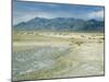 Black Rock Desert and High Rock Canyon Emigrant Trails National Conservation Area, Nevada, USA-Scott T. Smith-Mounted Photographic Print