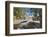 Black Rocks Campsite in McInnis Canyons NNRA, Colorado River-Trish Drury-Framed Photographic Print