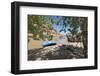 Black Rocks Campsite in McInnis Canyons NNRA, Colorado River-Trish Drury-Framed Photographic Print