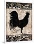 Black Rooster 1-Diane Stimson-Framed Premium Giclee Print