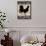 Black Rooster 1-Diane Stimson-Mounted Art Print displayed on a wall