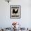 Black Rooster 1-Diane Stimson-Framed Art Print displayed on a wall
