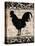 Black Rooster 2-Diane Stimson-Stretched Canvas