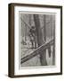 Black Sable Trapping in Northern China and Saghalien-Paul Frenzeny-Framed Giclee Print