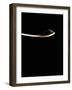 Black Salt on Spoon-Joerg Lehmann-Framed Premium Photographic Print