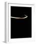 Black Salt on Spoon-Joerg Lehmann-Framed Premium Photographic Print