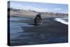 Black Sand at Dyrholaey Seashore, South Iceland-Natalie Tepper-Stretched Canvas