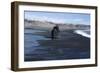 Black Sand at Dyrholaey Seashore, South Iceland-Natalie Tepper-Framed Photo