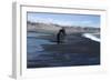 Black Sand at Dyrholaey Seashore, South Iceland-Natalie Tepper-Framed Photo