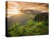 Black Sand Beach, Dyrholaey, South Coast, Iceland-Michele Falzone-Stretched Canvas