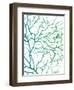 Black Sea Fan-Albert Koetsier-Framed Art Print