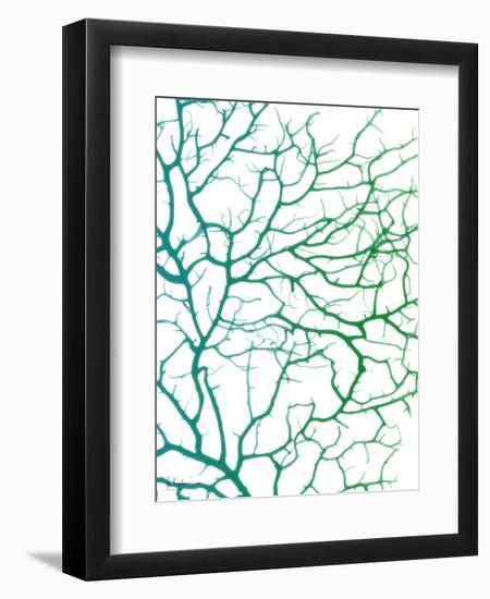 Black Sea Fan-Albert Koetsier-Framed Art Print