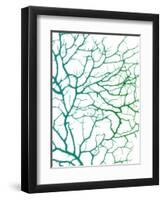 Black Sea Fan-Albert Koetsier-Framed Art Print