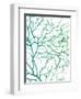 Black Sea Fan-Albert Koetsier-Framed Art Print