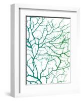 Black Sea Fan-Albert Koetsier-Framed Premium Giclee Print