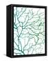 Black Sea Fan-Albert Koetsier-Framed Stretched Canvas