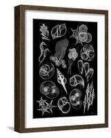 Black Sea-Albert Koetsier-Framed Art Print