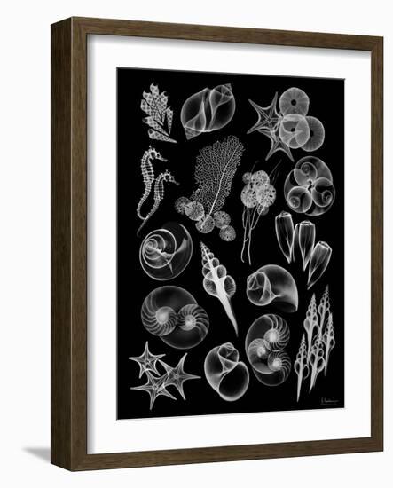 Black Sea-Albert Koetsier-Framed Art Print