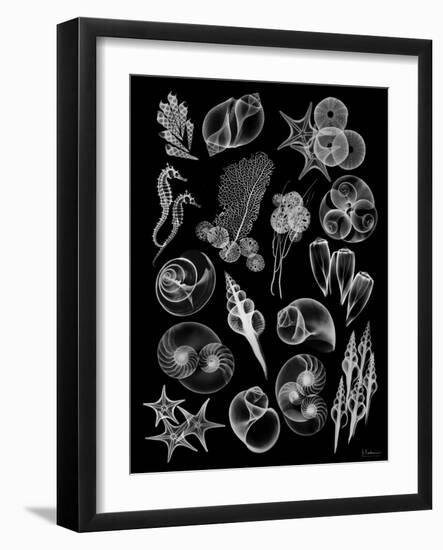 Black Sea-Albert Koetsier-Framed Art Print
