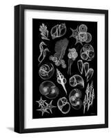 Black Sea-Albert Koetsier-Framed Art Print