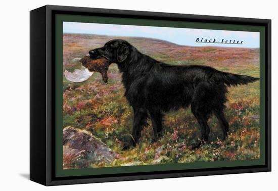 Black Setter-null-Framed Stretched Canvas