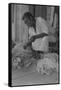 Black Sharecropper Sorts Tobacco Leaves-Dorothea Lange-Framed Stretched Canvas
