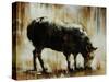 Black Sheep-Sydney Edmunds-Stretched Canvas