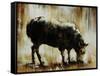 Black Sheep-Sydney Edmunds-Framed Stretched Canvas