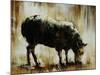 Black Sheep-Sydney Edmunds-Mounted Giclee Print