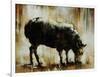 Black Sheep-Sydney Edmunds-Framed Premium Giclee Print