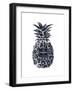 Black Silver Pineapple-Amanda Greenwood-Framed Art Print