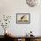 Black Skimmer or Shearwater-John James Audubon-Framed Art Print displayed on a wall
