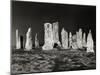 Black Sky at Callanish 1980-null-Mounted Giclee Print