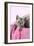 Black Smoke Kitten (8 Weeks) in Wicker-null-Framed Photographic Print