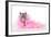 Black Smoke Kitten (8 Weeks) with Pink-null-Framed Photographic Print