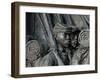 Black Soldiers of the 54th Massachusetts Regiment, Memorial in Boston, Massachusetts-null-Framed Photographic Print