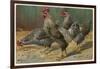 Black-Speckled Cock and Hens, Probably Silver-Laced Wyandottes-A. Schonian-Framed Art Print