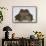 Black-Spined Toad-DLILLC-Framed Stretched Canvas displayed on a wall