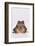 Black-Spined Toad-DLILLC-Framed Photographic Print