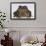 Black-Spined Toad-DLILLC-Framed Photographic Print displayed on a wall