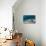 Black-Spotted Stingray-Reinhard Dirscherl-Stretched Canvas displayed on a wall