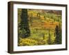 Black Spruce, Bearberry and Blueberry Bushes, Denali National Park, Alaska, USA-Stuart Westmoreland-Framed Photographic Print