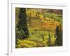 Black Spruce, Bearberry and Blueberry Bushes, Denali National Park, Alaska, USA-Stuart Westmoreland-Framed Photographic Print