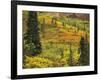 Black Spruce, Bearberry and Blueberry Bushes, Denali National Park, Alaska, USA-Stuart Westmoreland-Framed Photographic Print