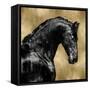 Black Stallion on Gold-Martin Rose-Framed Stretched Canvas